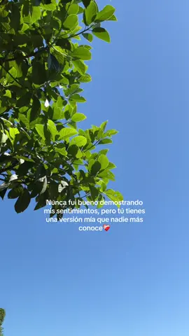 #❤️🫶#amor 