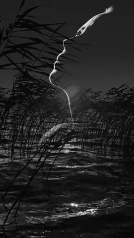 لا ترجى رجعتي لك ولا تصنع اعذار  جزت من طرادة الحب هي وطروقها كيف تبغى رجعتي وانت من قلبي فرار  انت تلعب بالمشاعر عبث و تبوقها مات الاحساس وتنازلت واعلنت القرار ماتت اشواق المحبين يا معشوقها اقلعت طياره الحب واخلاها المطار الكرامه قدمها و العزوم تسوقها ..💔