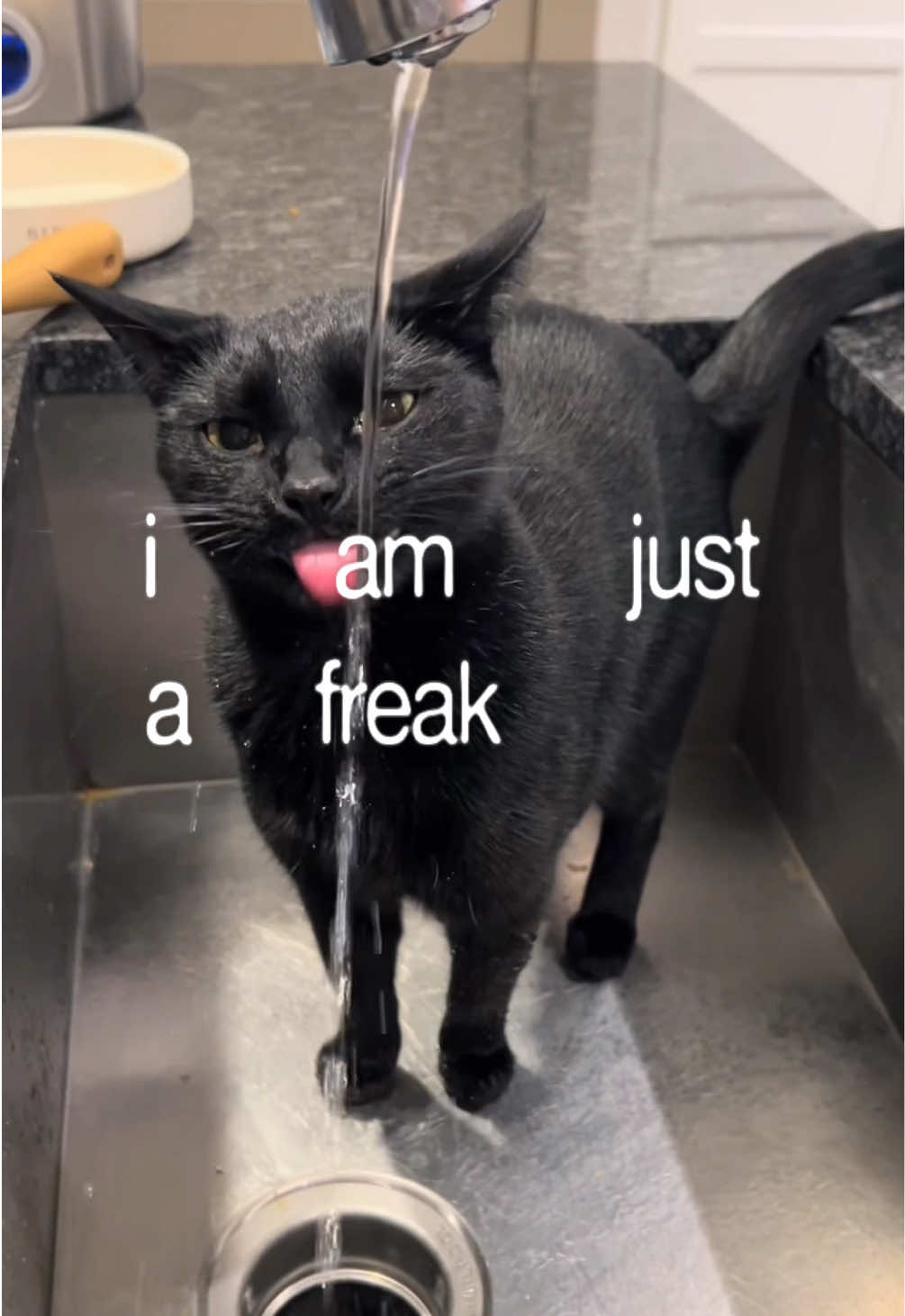 #CapCut so excited to drop this one 🤝 (song: ilyTOMMY - sick & tired 3) *unreleased* @sims #ilytommy #hoodtrap #cats #tiktok 