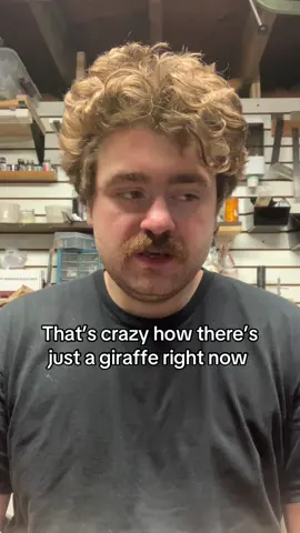 What are they doing #giraffe #thoughts #showerthoughts #animals 