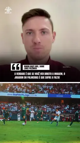 Depoimento do Ramon ajuda abel 😅. #palmeiras #cbf #futebol #saopaulo #brasileirao 