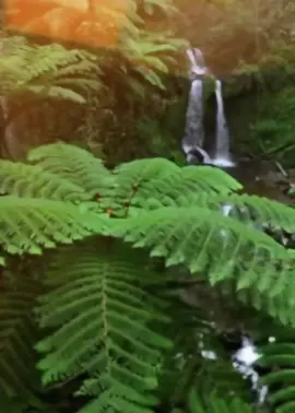 #ليبيا🇱🇾 #تفاعلكم_يساعدنا_على_الاستمرار💯💯 #الله_اكبر #تونس_المغرب_الجزائر #الخليج_العربي_اردن_عمان_مصر_تونس_المغرب @الشيخ الليبي لتفسير الرؤى 1  رقية التحريج لفك تعطيل والاذي عن بيتك او مكان رزقك 🔥 النشر لتعم الفائدة 