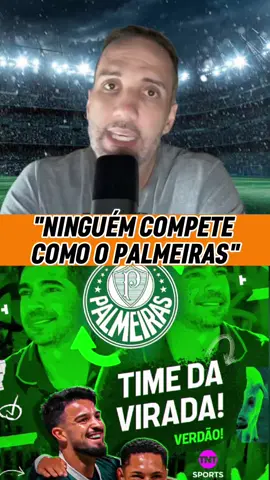Notícias do futebol #palmeiras #resiliencia #brasileirao #abelferreira 