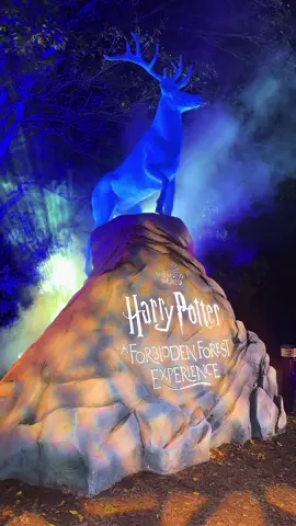 🪄Step in the Wizarding World of Harry Potter: A Forbidden Forest Experience - this isn’t just a walk through the woods - it’s a fully immersive journey through magical creatures, glowing spells, and iconic moments straight out of the movie. Grab your tickets today - 🔗 in Bi0, use code “WAVESOFPRI10” 🎟️✨  @Fever  📸: Endless photo ops 🪄: Interactive Spells 🌲: Immesive Forest Trail 🍻: Butterbeer on Tap 🐸: Chocolate Frog Brownies . . . . . #chicago #hiddengems #hpforbiddenforestexperience #hpforbiddenforest  #hpforbiddenforestchicago 