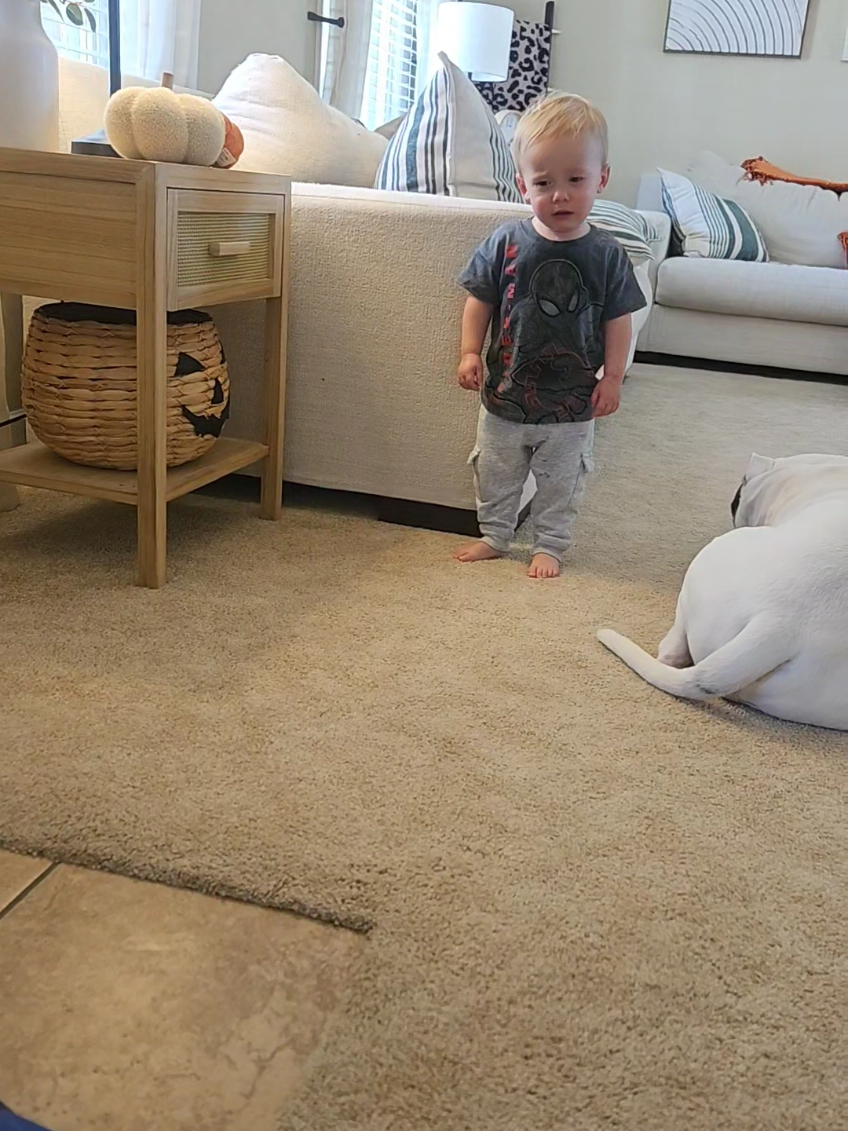 When you try to be a cool mom and do something fun you saw online, for sensory play. 🤣🫠 Allllllriiighty thennnnnn. We'll stick to cars.