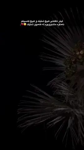 💔🥀#bazi #barzani #tiktok #imvrou✅ #fypシ゚viral #foryourpage #actives? 