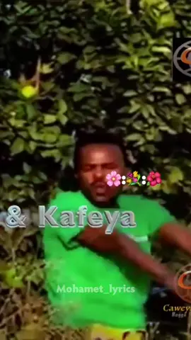 @Mohamet_lyrics🎧🥷🏻❤️‍🔥 Dhaanto Axmed Budul & Kafeeya #dhaanto #virl 
