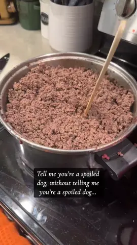Homemade Dog Food #dogfood #homemadedogfood #allergic