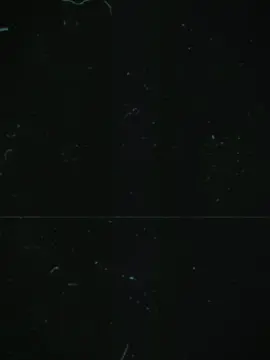 #CapCut #২০২৫সালের_জন্য_অপেক্ষায়_রইলাম😓😓😥😥 #সুন্দর༊᭄💃হয়েছে༊᭄🍁 #😣😣😣 