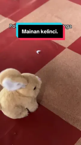 Maianan anak murah meriah #kelincimainan #kelincibersuara #mainankelinci #mainankelincibaterai #kelinci 