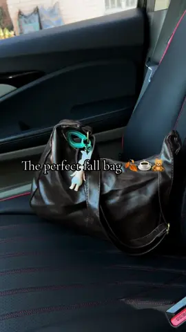 Some appreciation for this purse 🤎#purse #leatherbag #brownpurse #fallaesthetic #fallfashion