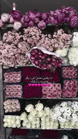 #هواجيس #fyp #viral 