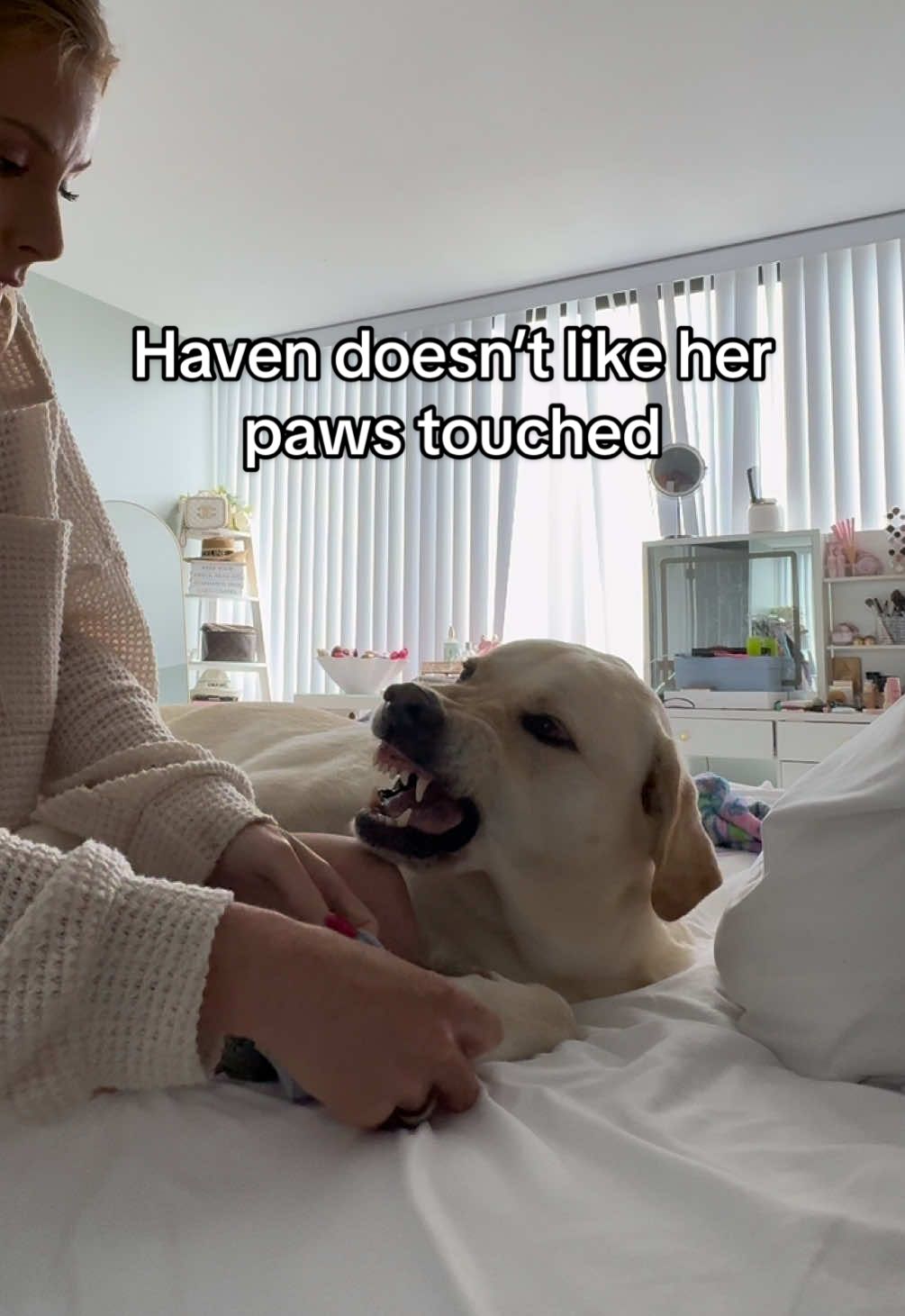 Havens paws feel better // follow @Kelly for more #dogsoftiktok #dogtok #viral #fyp #viraldogs 