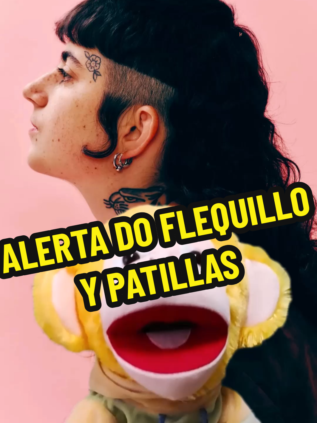 ALERTA DE FLEQUILLO Y PATILLAS  #soyunmono #alerta #flequillo #patillas 