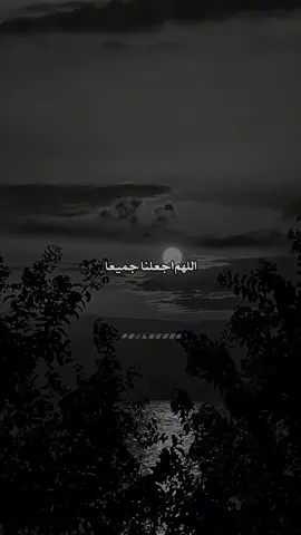 مبروك زيد الخير #كلام_من_القلب  #islamic #salmo609  #foryou #fyp 