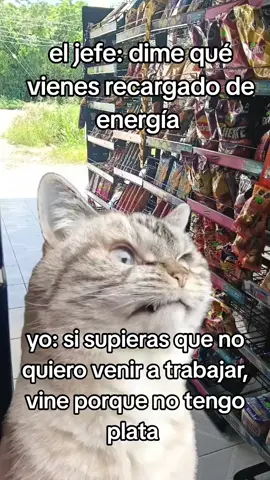 #CapCut #yoeneltrabajo #lunes #noquero  cuando estoy cansado 