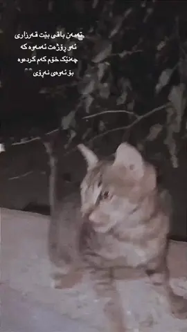 #fypシ #explore #4upage #