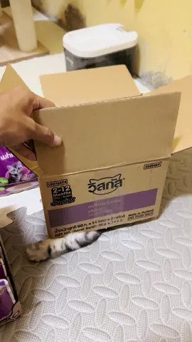 WHISKAS วิสกัส อาหารเปียกแมว #อาหารเปียกวิสกัส #วิสกัสอาหารแมว #WHISKAS #วิสกัสอาหารเปียกแมว #อาหารเปียกแมว 