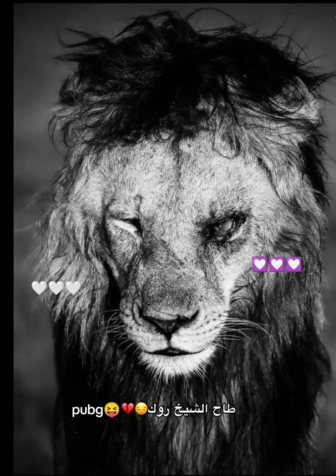#pubgmobile  #🤍🤍🤍🤍🤍🤍🤍🤍  #🔥🔥🔥 #💟💟💟  #foryoupage❤️❤️ 