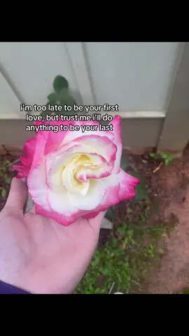 #fypシ #fyp #quotes #inprodwetrust #Relationship 