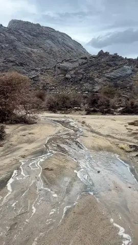 #اكسبلورexplore #الذكاء_الاصطناعي🤖🧠 #الشعب_الصيني_ماله_حل😂😂 #💔💔 