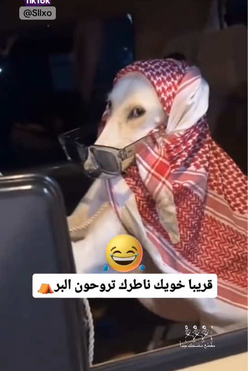 مقطع مضحك جداً 2025 #ضحك #funny #funnyvideos #fyp #trending 