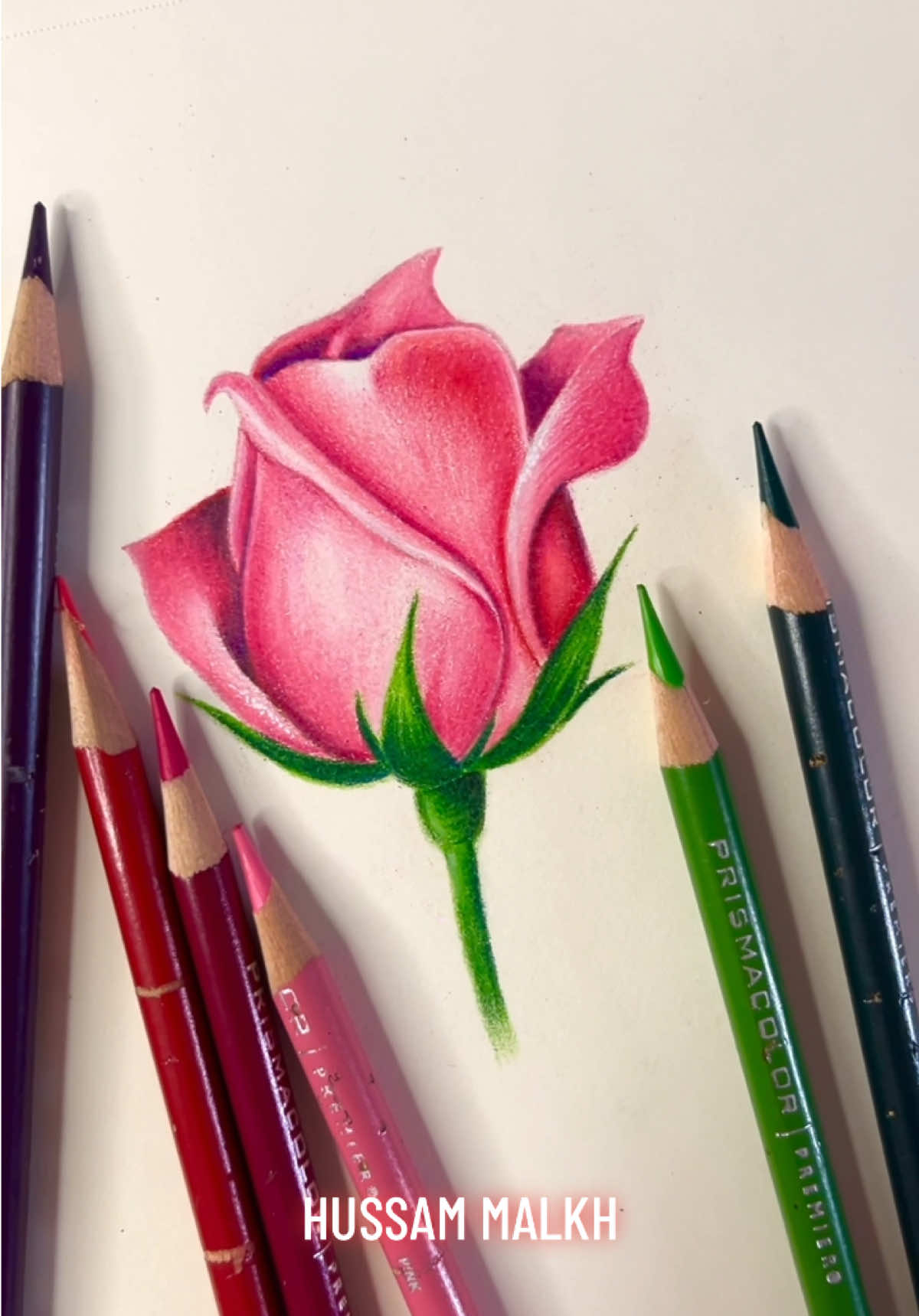رسم الوردة بالوان البريزما بشكل احترافي 😍💖 #رسم_وردة #prismacolor #artreels #artistsoftiktok #drawingtutorial 