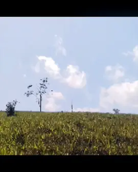 THE BEST DUO?...  : #jordanbarrett #chicolachowski #lookmaxing #Edit #kinne_squad 