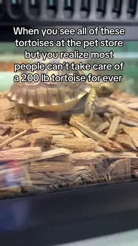 I think about it every time 
