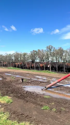 Siempre se ve algo #paratiiiiiiiiiiiiiiiiiiiiiiiiiiiiiii 