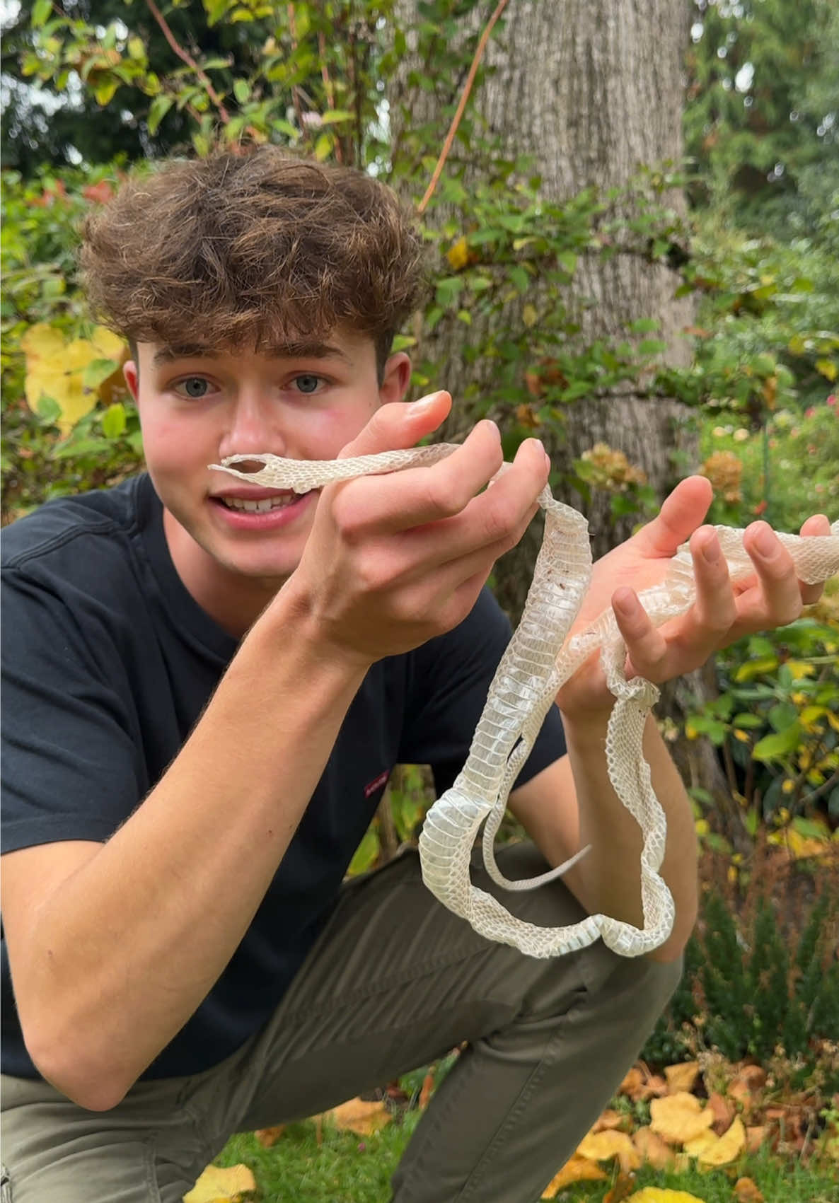 Why do snakes shed their skin!? You may think this is a Halloween decoration, but it’s not! Snakes shedding their skin is a natural part of their life and serves a few important purposes! #snake #wildlife #nature #natureisbeautiful #zoology 