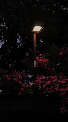 📚💻📖🖊💡🌸 Dhib laguma waaro 06/10/2025