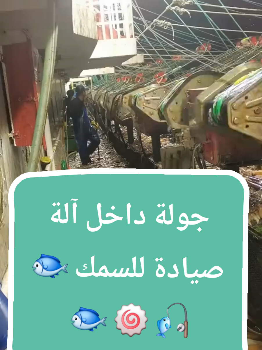 جولة داخل آلة صيادة للسمك 🐟 🎣 🍥 🐟   #creatorsearchinsights  #creatorsearchinsight  #viral  #foryou  #foryoupage 