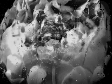 #speedsong #speedupsongs #nightcore #lyrics #fyp  @speed songs | lyrics 