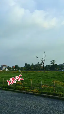 #fpyシ #ደብረታቦር #ethiopian_tik_tok🇪🇹🇪🇹🇪🇹🇪🇹 #duet #fyppppppppppppppppppppppp 