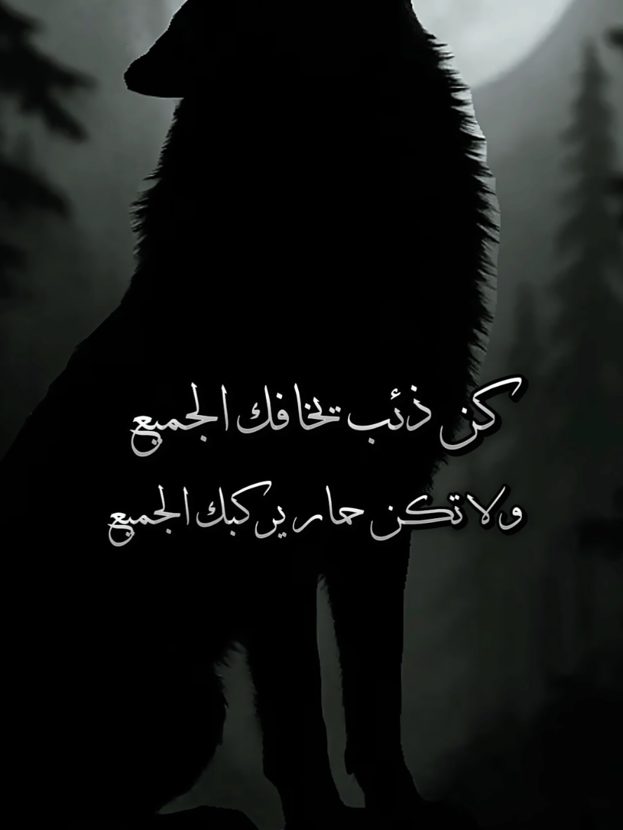 #dragon_dz01 #youcef_dahou #CapCut #farouk_b #darknoir16 