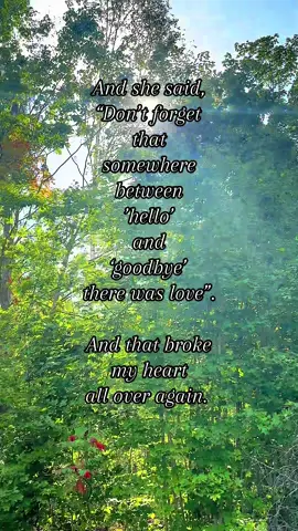 And she said,  “Don’t forget  that  somewhere  between  ’hello’  and  ‘goodbye’  there was love”. And that broke  my heart  all over again.  #wlw #HealingJourney #endings 