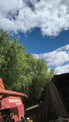 😝🤪#paratiiiiiiiiiiiiiiiiiiiiiiiiiiiiiii ##campoargentino🌱🌾🌻🐮🐂 #fpy #deutz #argentina 