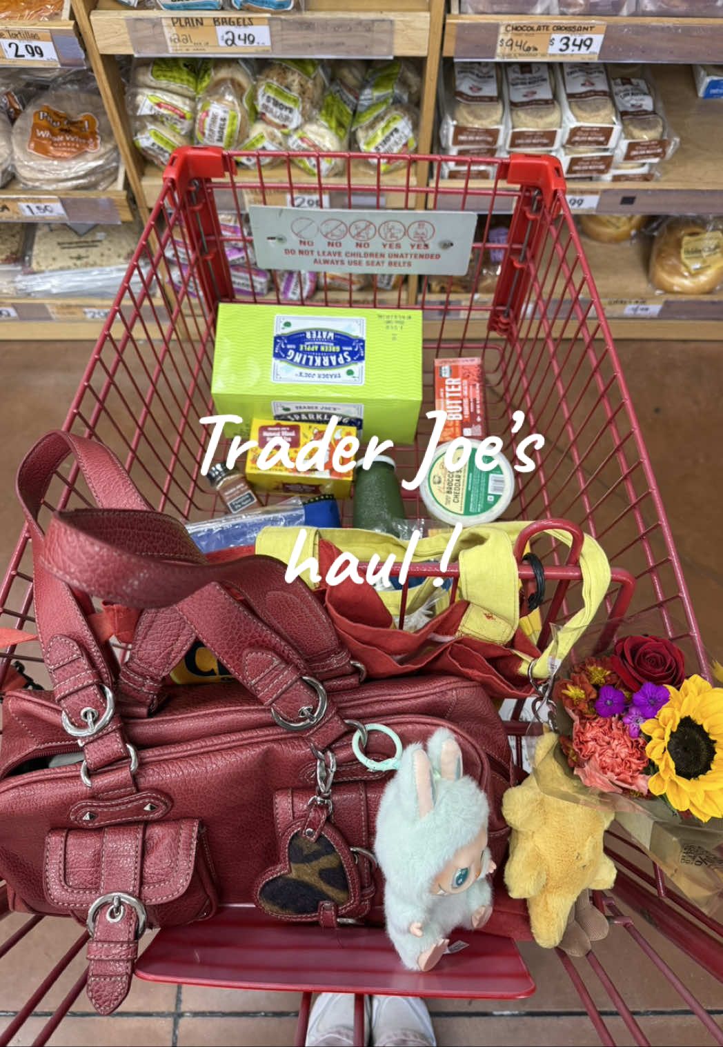 a cutie little tjs haul💛#traderjoes #traderjoeshaul #traderjoesfinds #groceryshopping 