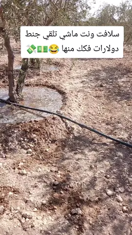 #سلافت ونت ماشي تلقي جنط دولارات فكك منها 😂😂💸💵#الشعب_الصيني_ماله_حل😂😂، #مجرد________ذووووووق🎶🎵💞 