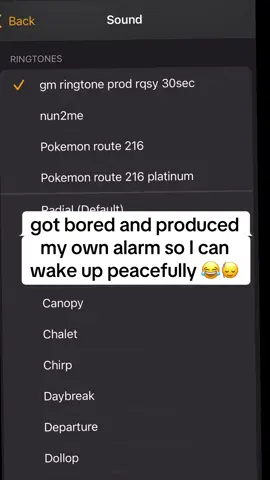 lmk if yall want custom alarms #foryoupage #producertok #flstudio 