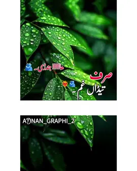 🫂😭کنڈ پچھوں کڈھدیں کوئی مندیں نسے #Adnan_graphi_2 #saraikistatus #fypviraltiktok🖤シ゚☆♡ #foryoupageofficiall #1milionviewsplaes🙏 