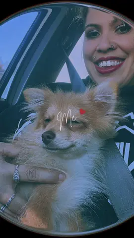 Gideon and Mom having a morning road trip. Can we say Spoiled passenger prince? Lol #GodisGood #furbaby #obedience #Godsblessings #trulyblessed 