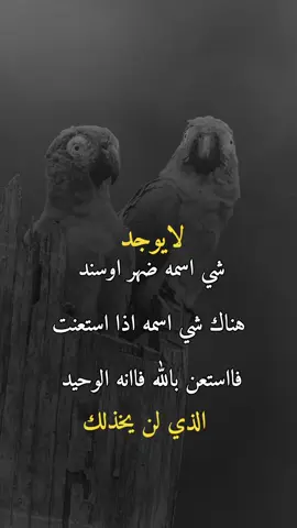 #fyp #explore #عبارات_حزينه💔 #حزين 