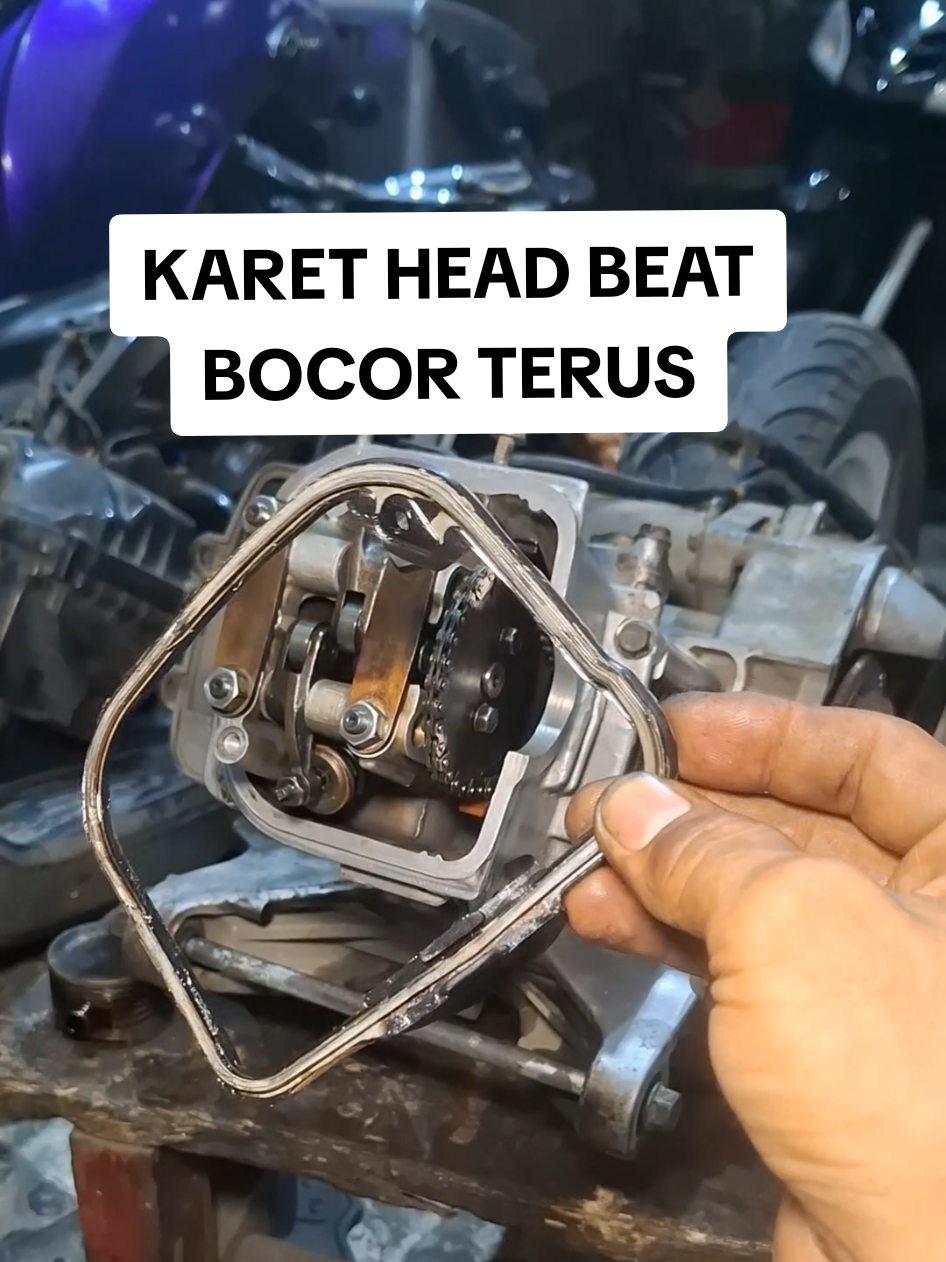 solusi karet head beat bocor oli terus #bengkelmotor #servismotor #tuneupmotor #mekanik #fyp 