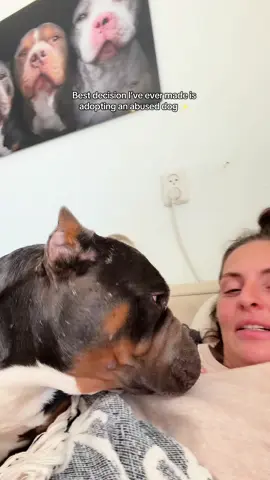 The price of a good dog is a broken heart at the end 💔 #fy #fyp #bundleofbullies #dogsoftiktok #dogs 