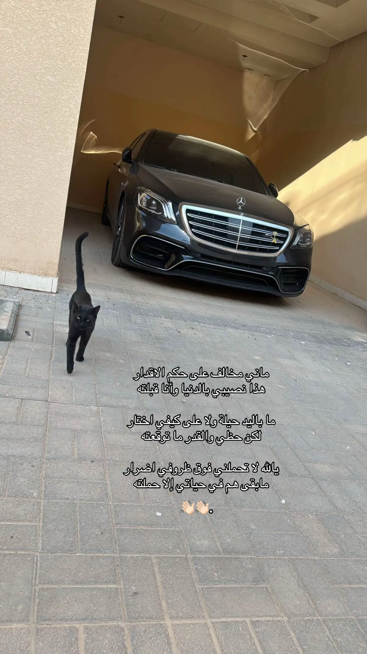 #الشرق #الرياض #fyp #fyppppppppppppppppppppppp #زحف 