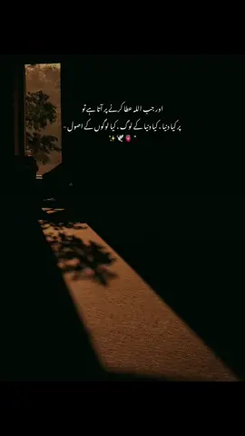 Hmm Bilkul Beshaq 💗🕊 #ayezy_aesthetix #fypppviralllシ #goviral #viewsproblem😭 #unfreezemyacount 
