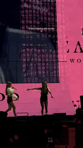 my favorite girlies i love them so much💗 #blackpink #blink #lisa #rosé #chaelisa 