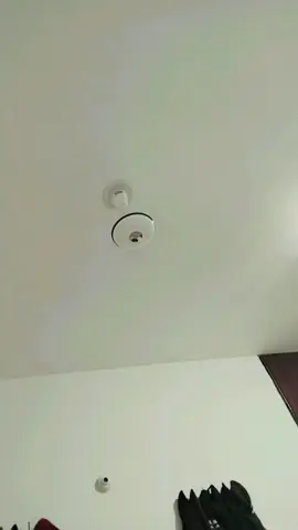 #creatorsearchinsights #fyp #foryoupage #fyp #foryoupage 